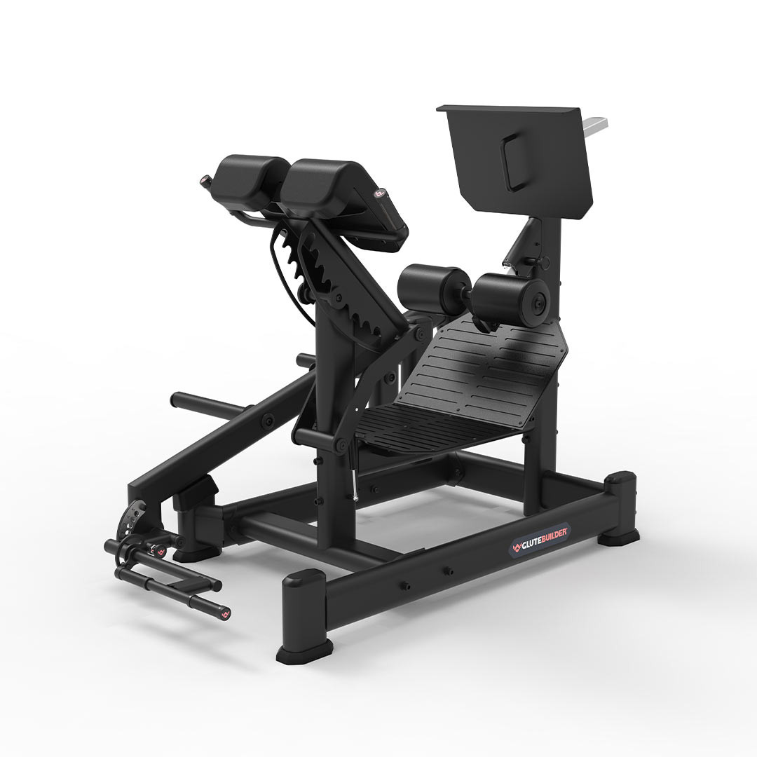 Precor Dual 45 Hip Extension